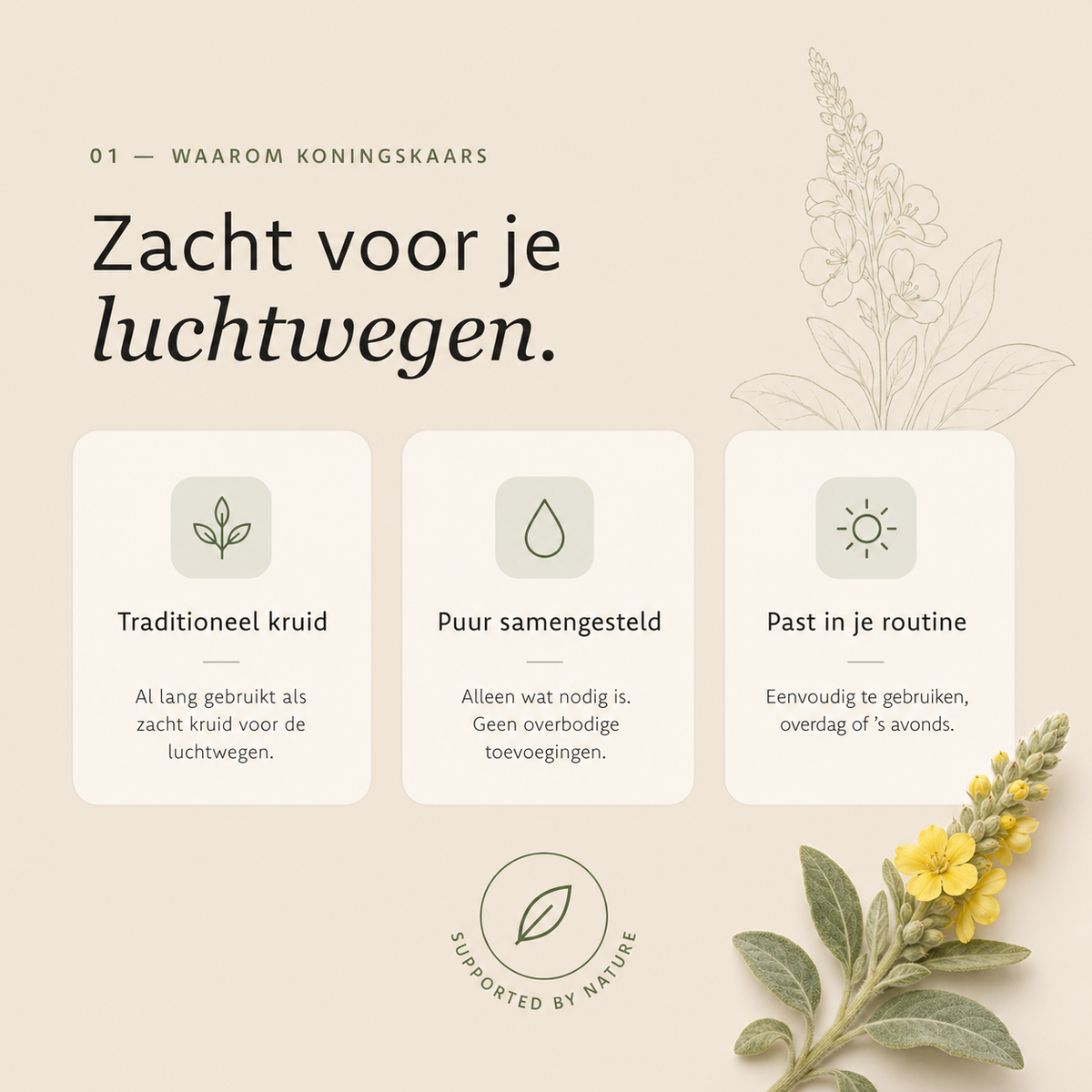 Koningskaars