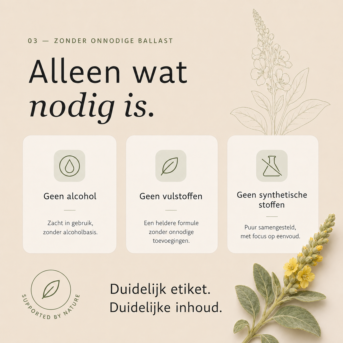 Koningskaars