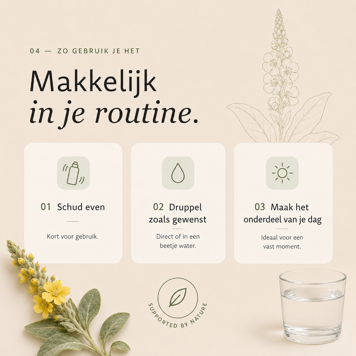 Koningskaars