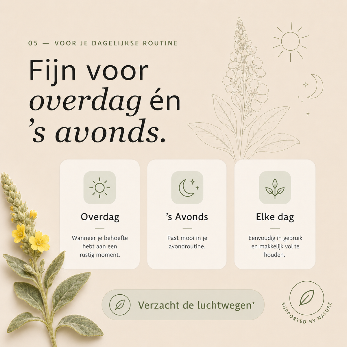 Koningskaars